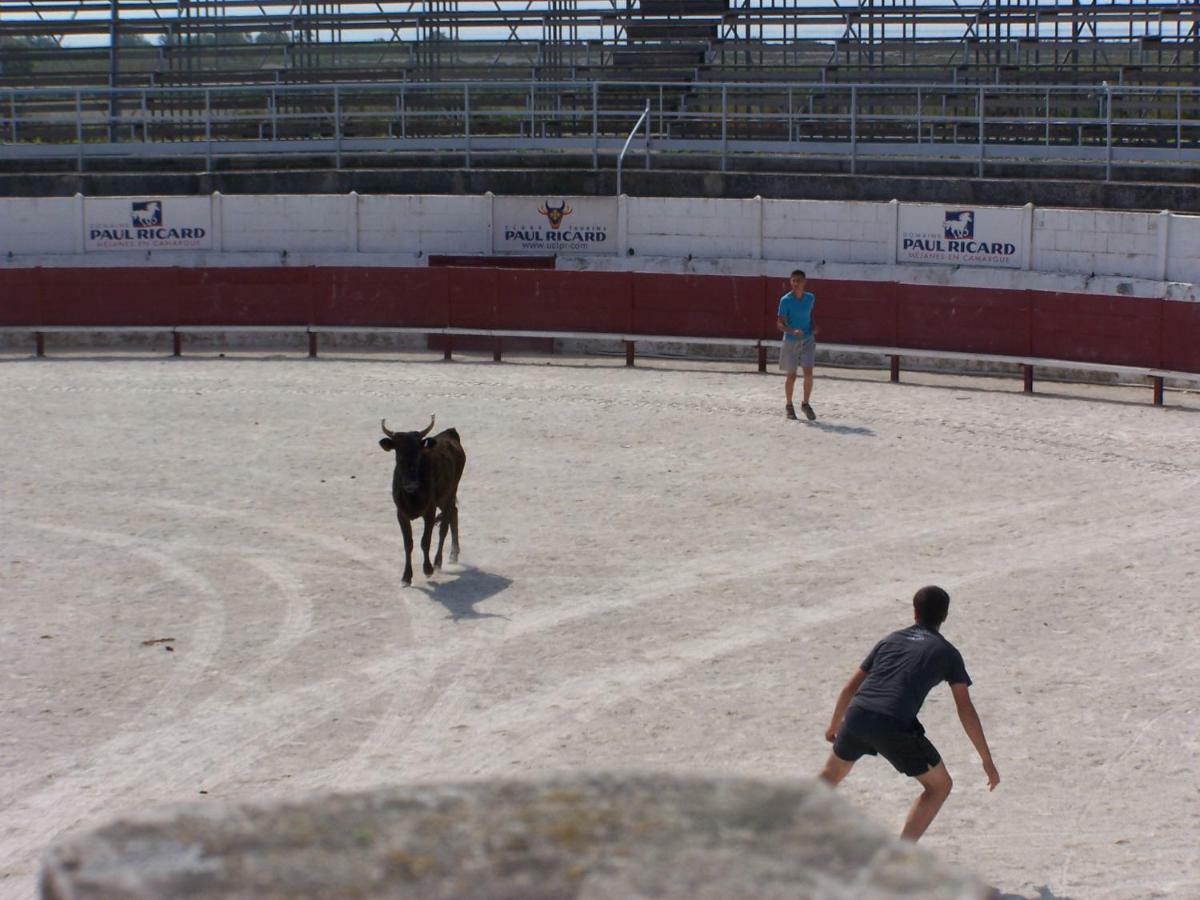 Mas Dou L'Estele Chambre D'Hotes Arles Kültér fotó